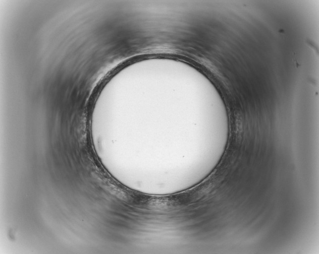 X0000101431364200807280951