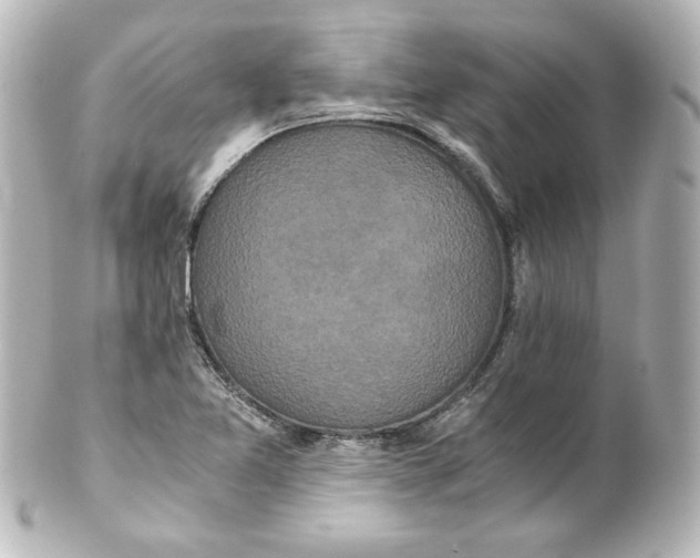 X0000101431365200807280951