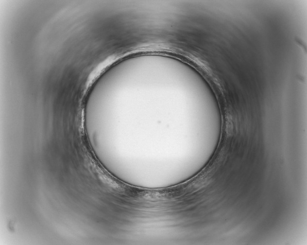 X0000101431366200807280951