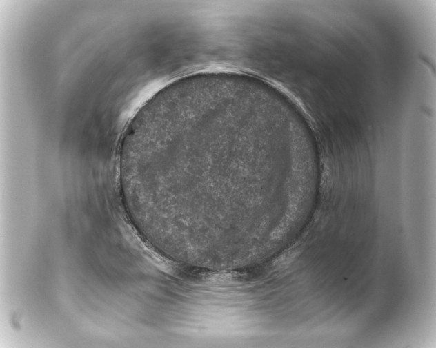 X0000101431367200807280951