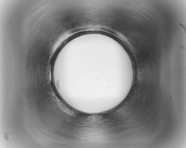 X0000101431368200807280951