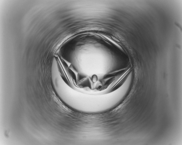 X0000101431369200807280951