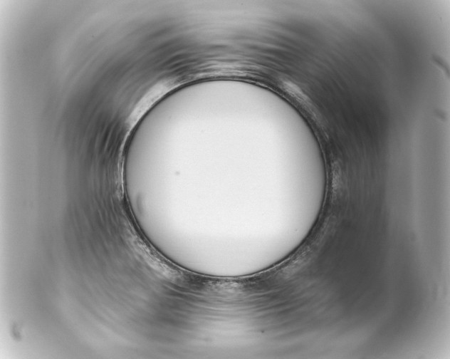 X0000101431370200807280951