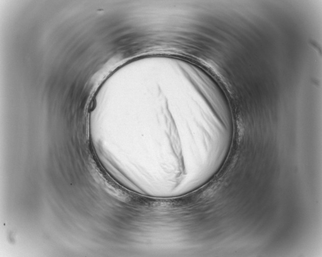 X0000101431371200807280951