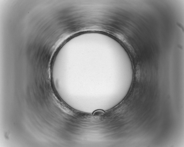 X0000101431372200807280951