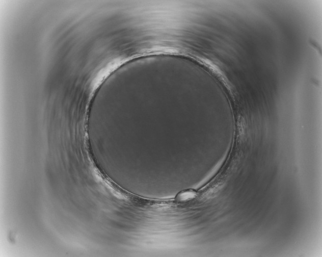 X0000101431373200807280951