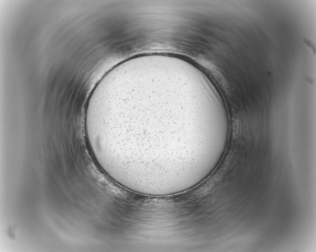 X0000101431374200807280951