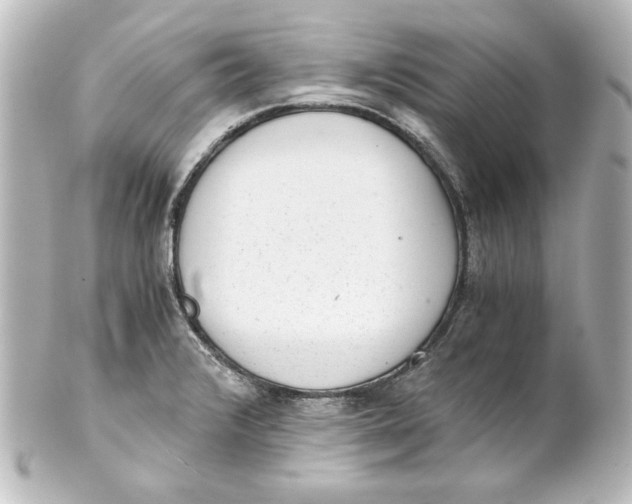 X0000101431376200807280951