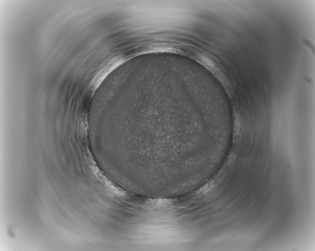 X0000101431377200807280951