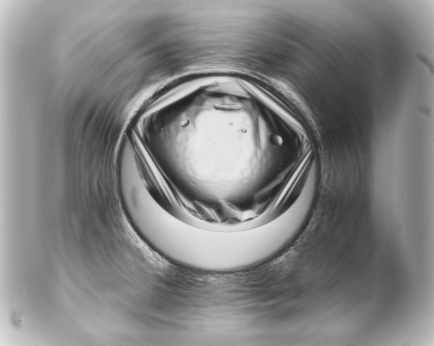 X0000101431380200807280951