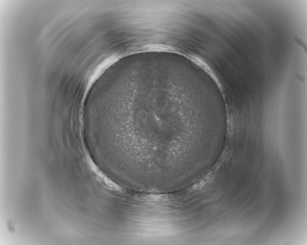 X0000101431381200807280951