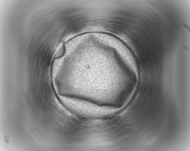 X0000101431382200807280951