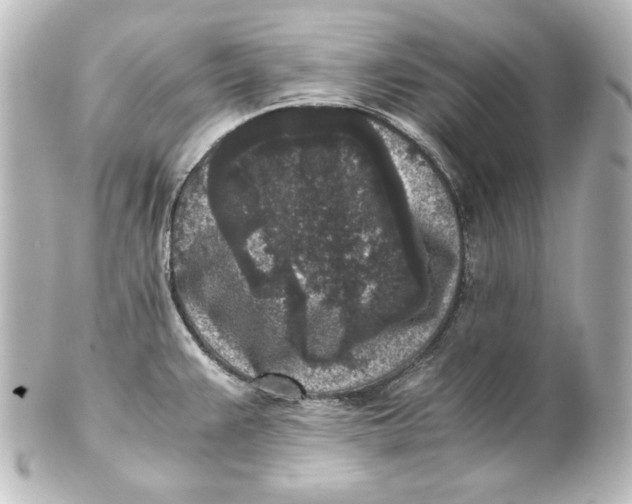 X0000101431383200807280951