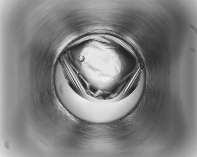 X0000101431384200807280951