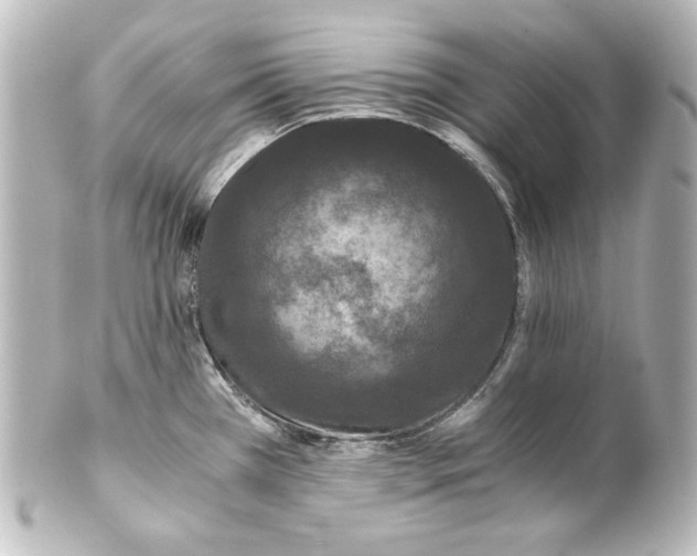 X0000101431385200807280951