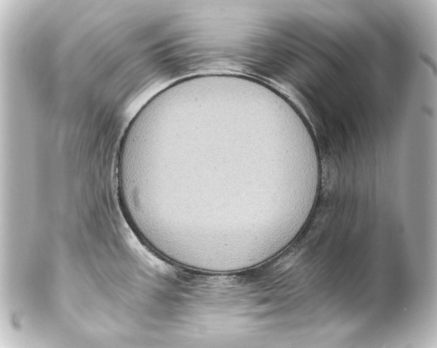 X0000101431387200807280951