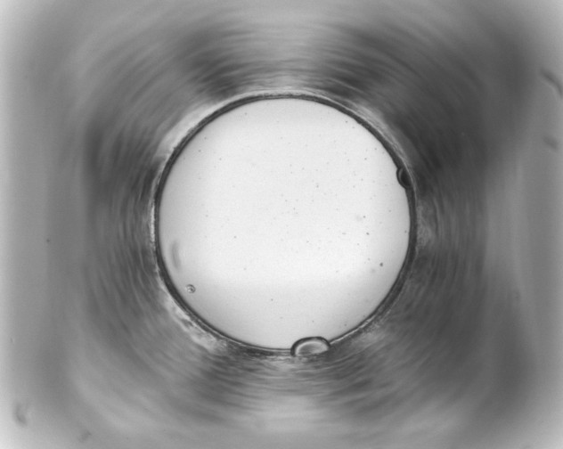 X0000101431388200807280951