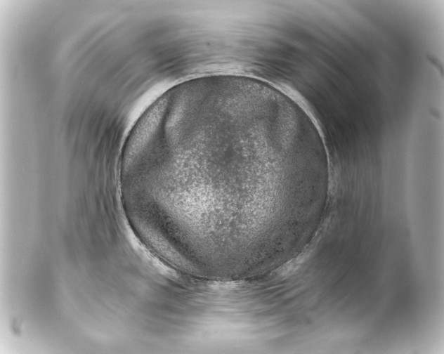 X0000101431389200807280951