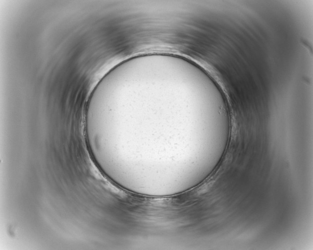 X0000101431390200807280951