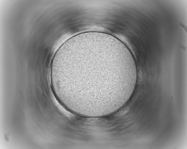 X0000101431391200807280951