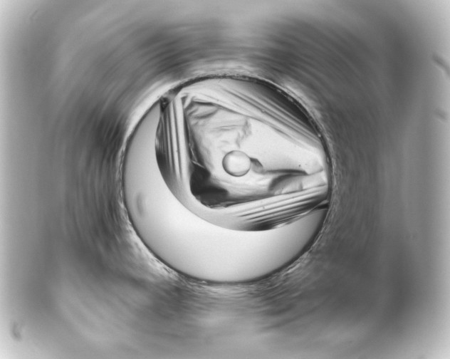 X0000101431392200807280951