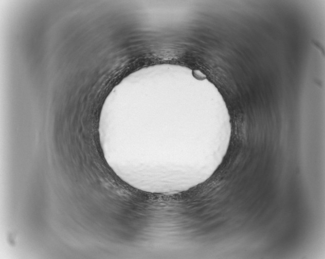 X0000101431393200807280950