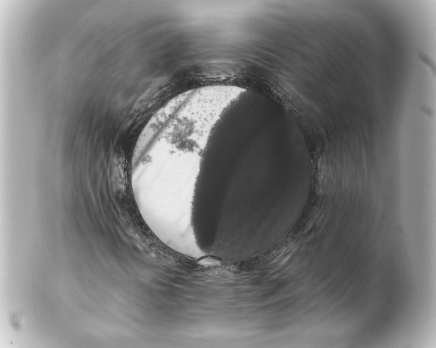 X0000101431394200807280950