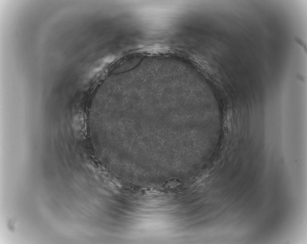 X0000101431398200807280950