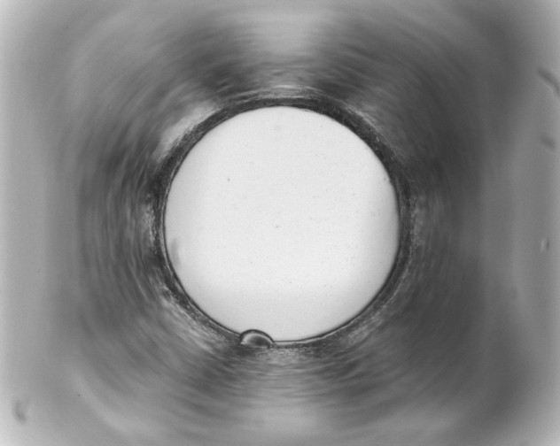 X0000101431402200807280950