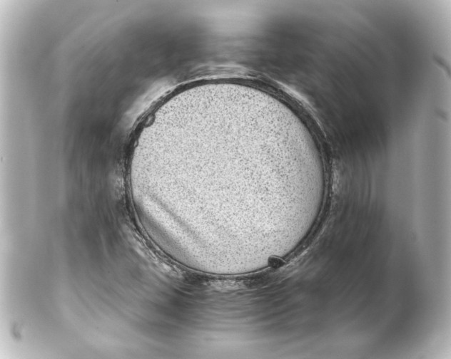 X0000101431407200807280950