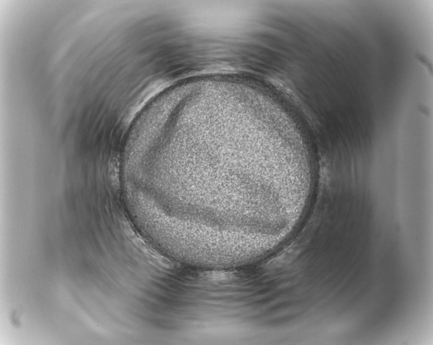 X0000101431409200807280950