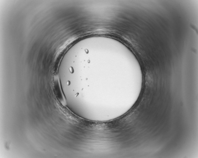 X0000101431410200807280950