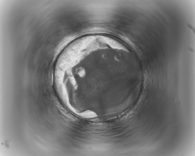 X0000101431413200807280950