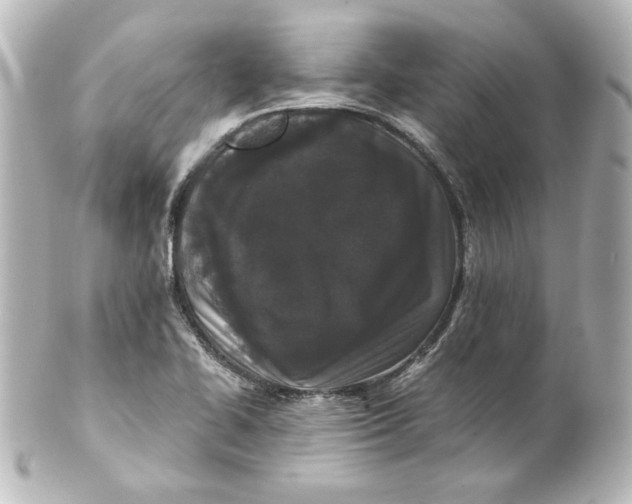 X0000101431414200807280950