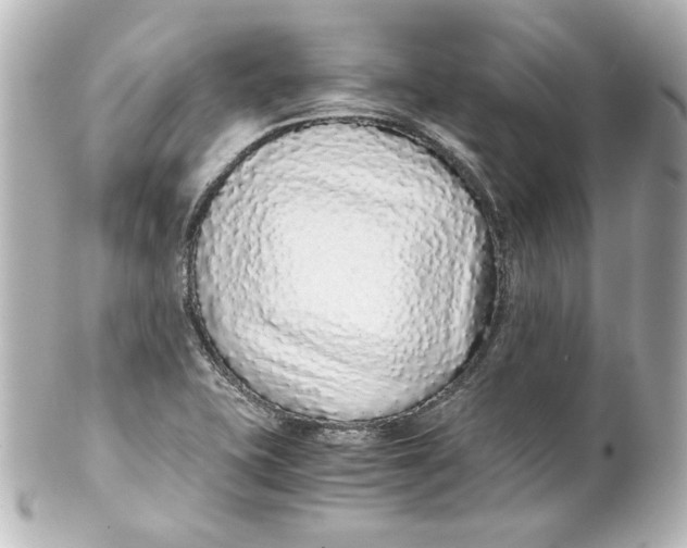 X0000101431415200807280950