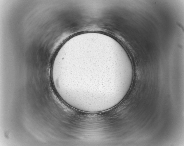 X0000101431416200807280950