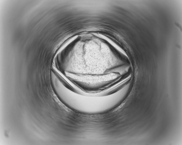 X0000101431417200807280950