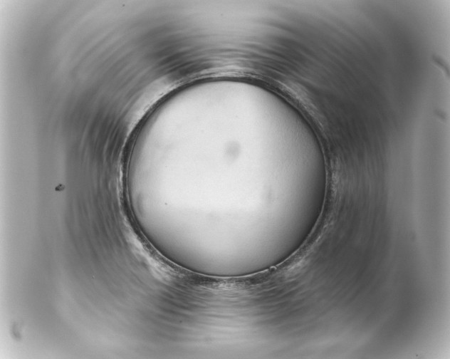 X0000101431418200807280950