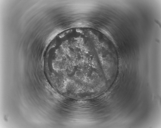 X0000101431419200807280950