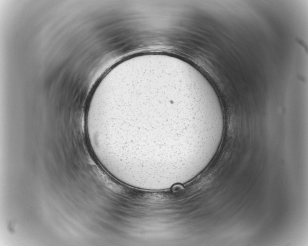 X0000101431420200807280950