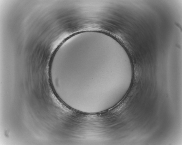 X0000101431422200807280950