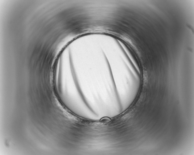 X0000101431424200807280950