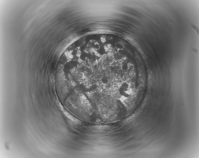 X0000101431425200807280950