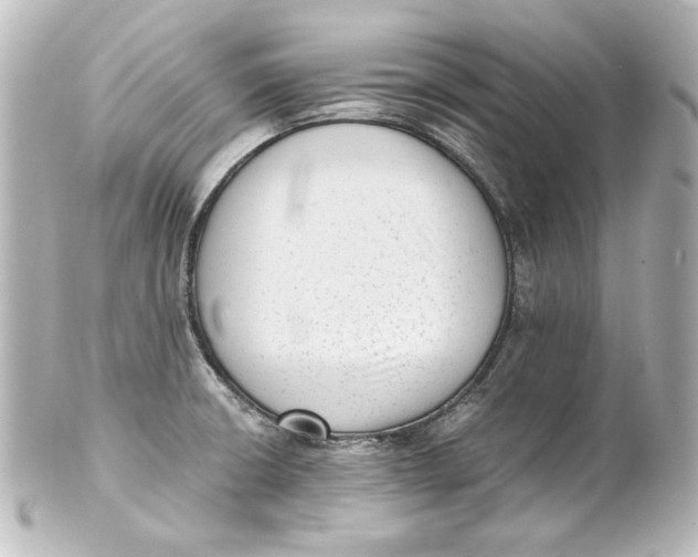 X0000101431426200807280950