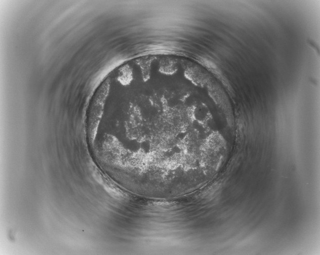 X0000101431427200807280951