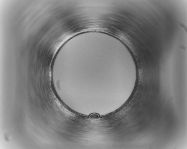 X0000101431428200807280951