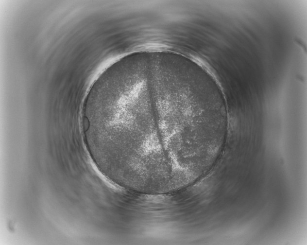 X0000101431429200807280951