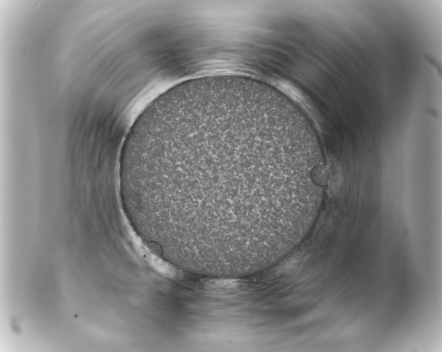 X0000101431431200807280951