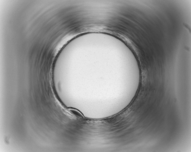 X0000101431432200807280951