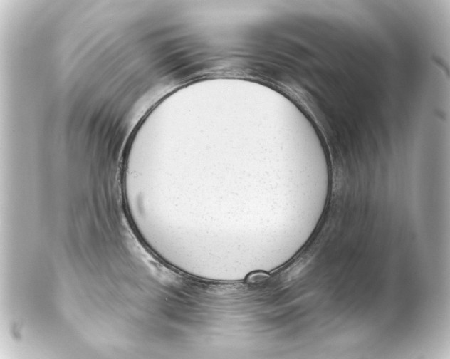 X0000101431434200807280951